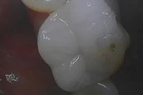 Cosmetic Dental Office 37849